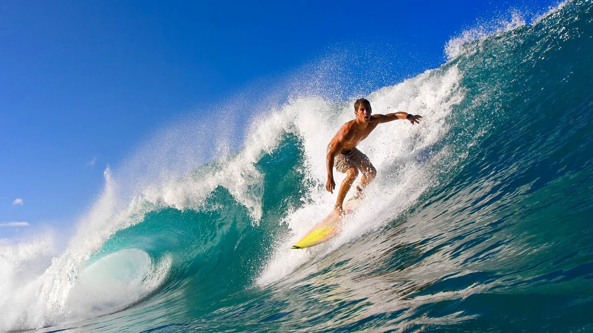 冠军的秘密武器：车队最新研发设备全揭秘，中国冠军车队