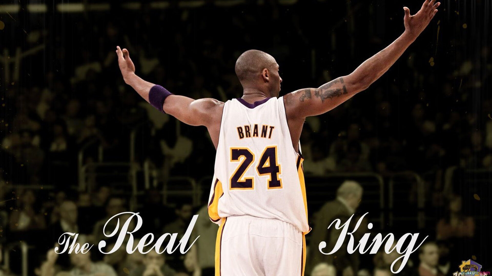 基础设施升级助力：高速网络和智能设备引领行业迈入新纪元，基础设施升级改造