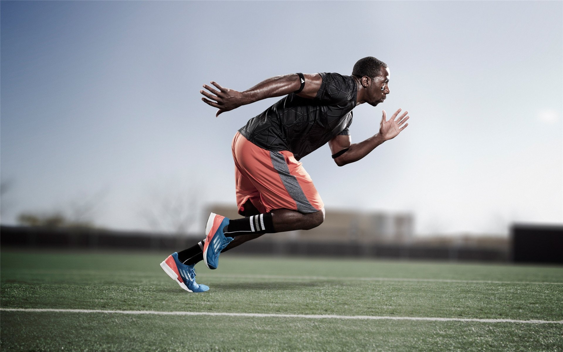 墨西哥马术协会授予马尔科·阿尔瓦雷斯“年度最佳马匹护理员”称号。